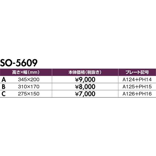 【表彰楯*】SO-5609