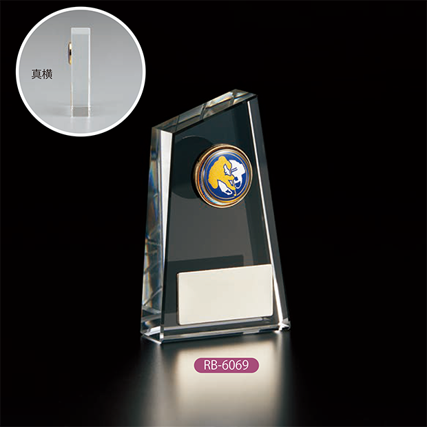 【アイスホッケー 盾】RS-6069 " 20％OFF