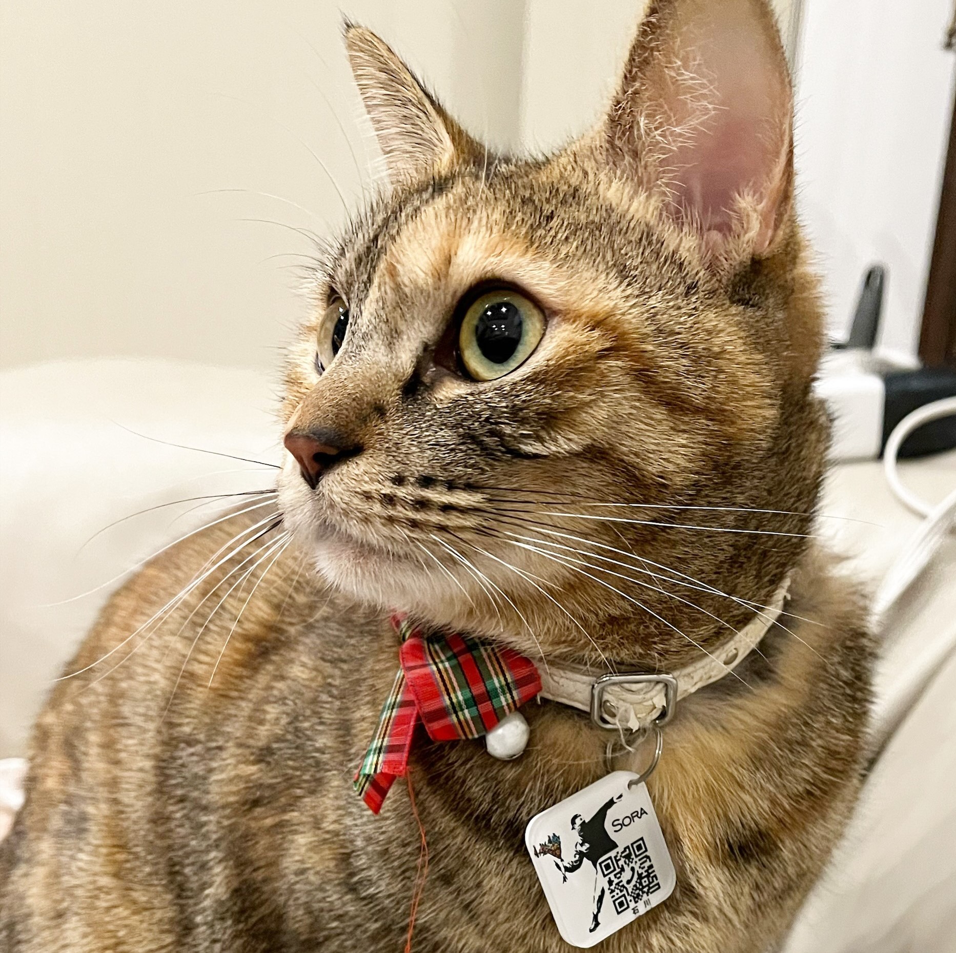 送料無料！【名札】バンクシー【D3】　アクリル製 迷子札 QRコード付き！ UV印刷 愛犬 愛猫 ペット
